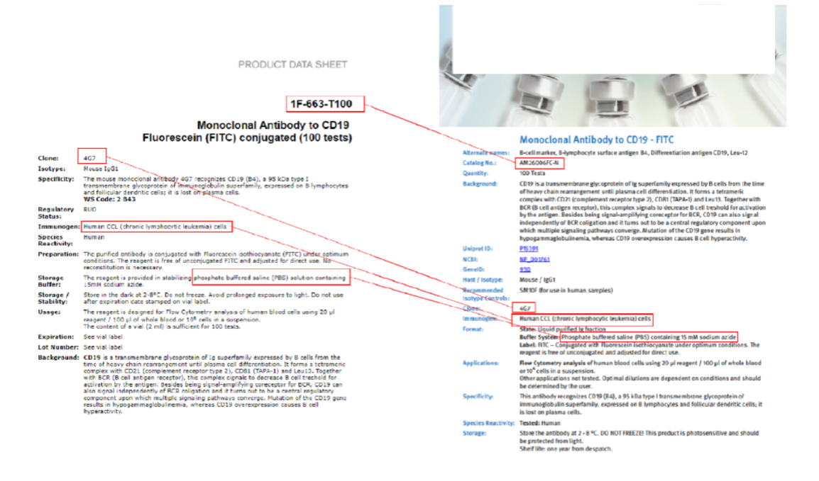NLP Information Extraction Text Analysis